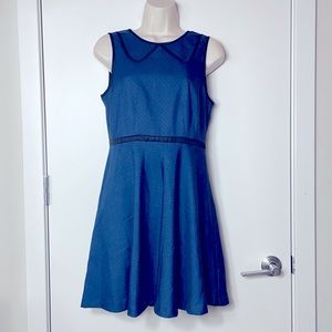 Coincidence & chance polka dot navy Dress